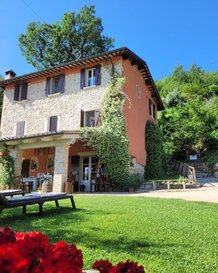 B&B L'Usignolo アスコリ・ピチェーノ エクステリア 写真