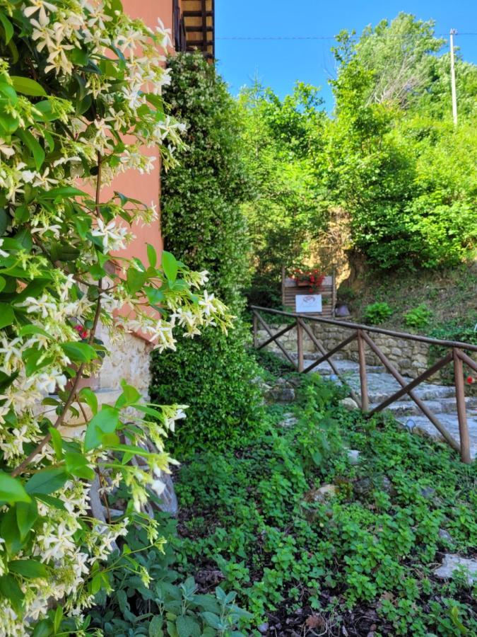B&B L'Usignolo アスコリ・ピチェーノ エクステリア 写真