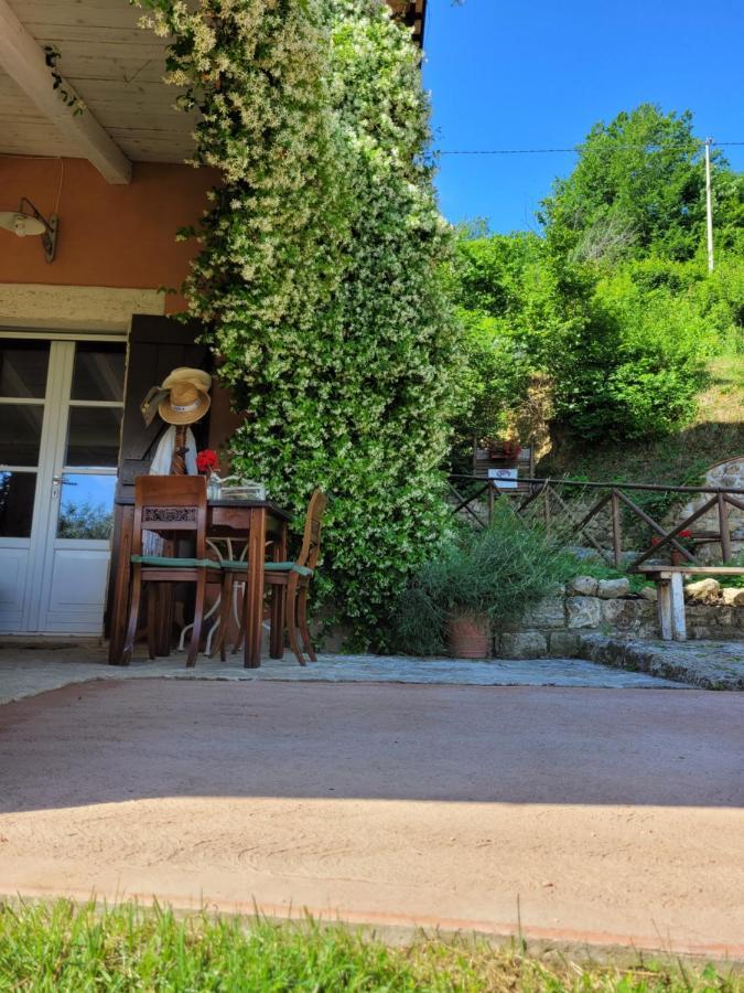 B&B L'Usignolo アスコリ・ピチェーノ エクステリア 写真